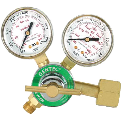 Light-Duty Single Stage Regulator, Oxygen, CGA540 Inlet Equipex