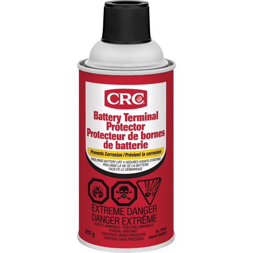 Battery Terminal Protector, Aerosol Can Equipex