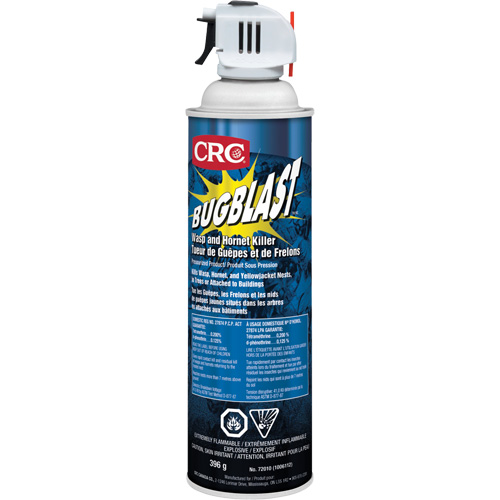 Insecticide Bug Blast, 397 g, &agrave; base de solvant Equipex