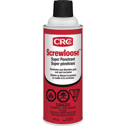 ScrewlooseTM Super Penetrant, Aerosol Can, 312 g Equipex