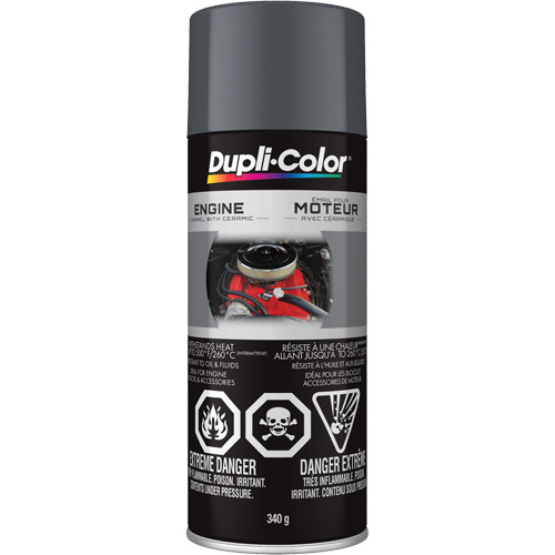 Peinture &agrave; &eacute;mail avec c&eacute;ramique pour moteur, Fonte grise, Tr&egrave;s brillant, 12 oz, Canette a&eacute;rosol Equipex