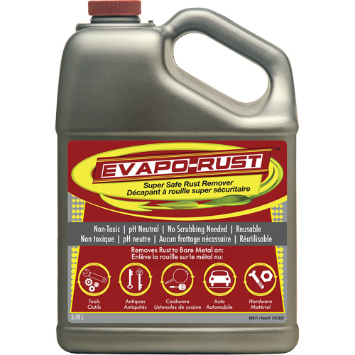 Agent antirouille super s&eacute;curitaire Evapo-Rust, Cruche Equipex