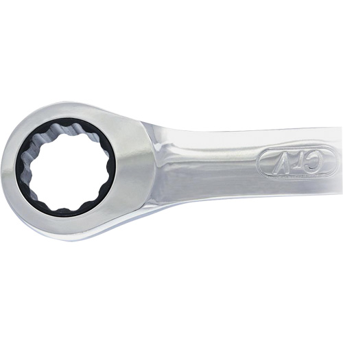 Non-Reversing Ratcheting Combination Wrench Equipex