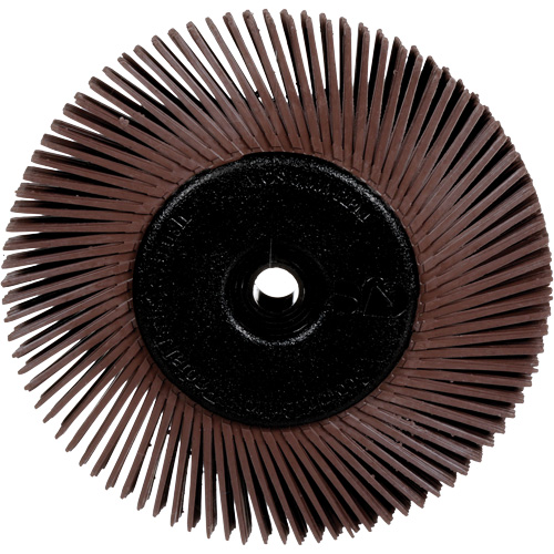 Brosses radiales bristle pour meuleuses d'&eacute;tabli, Grain 36X, 6" dia. Equipex