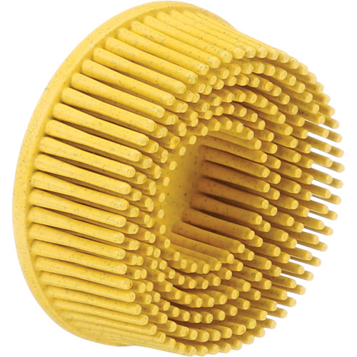 Scotch-Brite Roloc Bristle Discs, 80 Grit, 2" Dia. Equipex