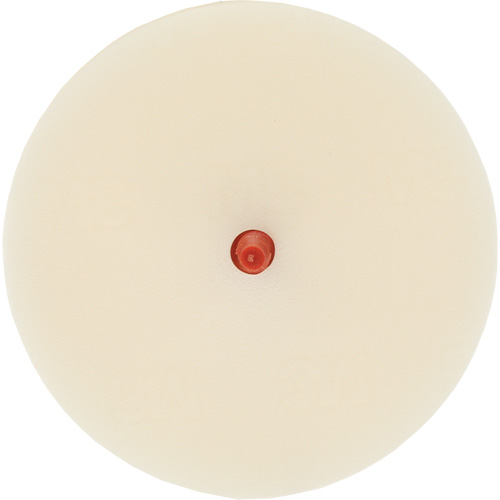 Scotch-Brite Moulding Adhesive & Stripe Removal Disc, 7501, 4" Dia. Equipex