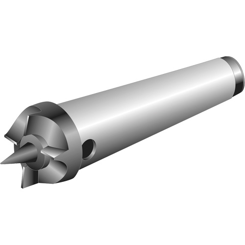Aiguillon central Equipex