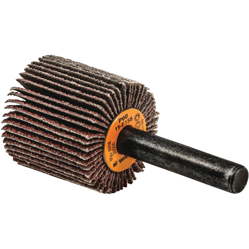 Flap Wheels-Coolcut Flap Wheels, Aluminum Oxide, 60 Grit, 1" x 1" x 1/4" Equipex