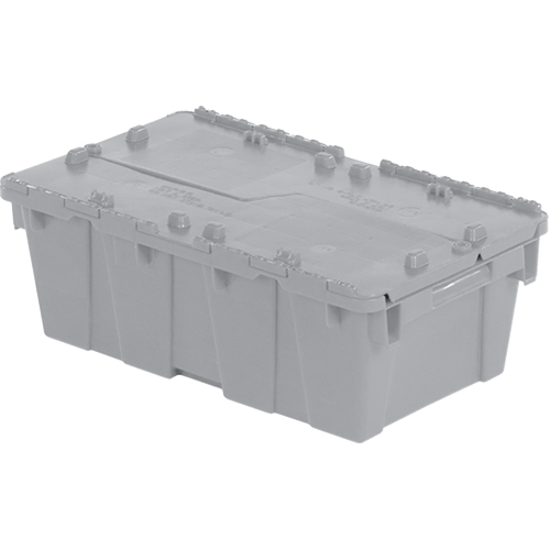 Flipak&reg; Polyethylene Plastic (PE) Distribution Containers, 19.7" x 11.8" x 7.3", Grey Equipex