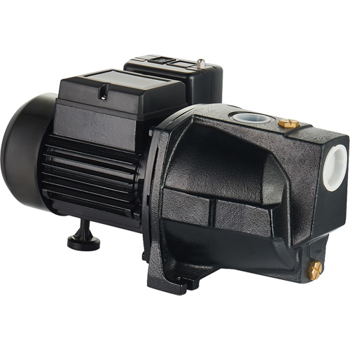 Pompe &agrave; jet en fonte &agrave; double tension pour puit peu profond, 115 V/230 V, 1100 gal./h, 1 CV Equipex