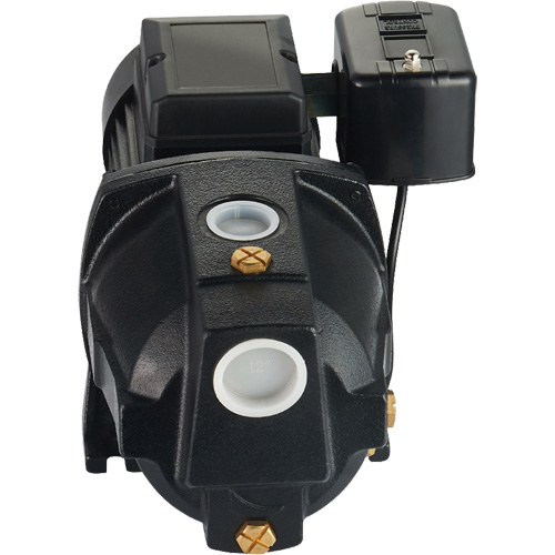 Pompe &agrave; jet en fonte &agrave; double tension pour puit peu profond, 115 V/230 V, 1100 gal./h, 1 CV Equipex