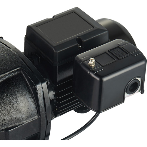 Pompe &agrave; jet en fonte &agrave; double tension pour puit peu profond, 115 V/230 V, 1100 gal./h, 1 CV Equipex