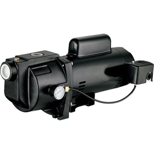 Pompe &agrave; jet en fonte &agrave; double tension pour puit peu profond, 115 V/230 V, 1260 gal./h, 1 CV Equipex