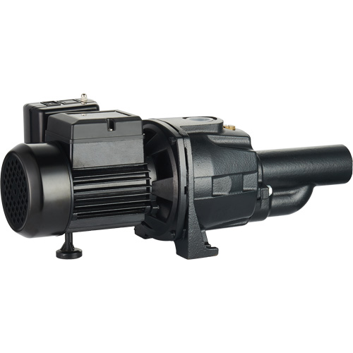 Dual Voltage Cast Iron Convertible Jet Pump, 115 V/230 V, 1100 GPH, 1/2 HP Equipex