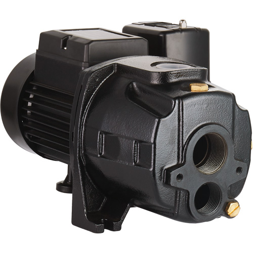 Dual Voltage Cast Iron Convertible Jet Pump, 115 V/230 V, 1100 GPH, 1/2 HP Equipex