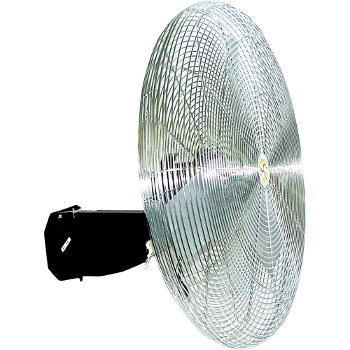 Oscillating Wall fan, Industrial, 3 Speed, 30" Diameter Equipex