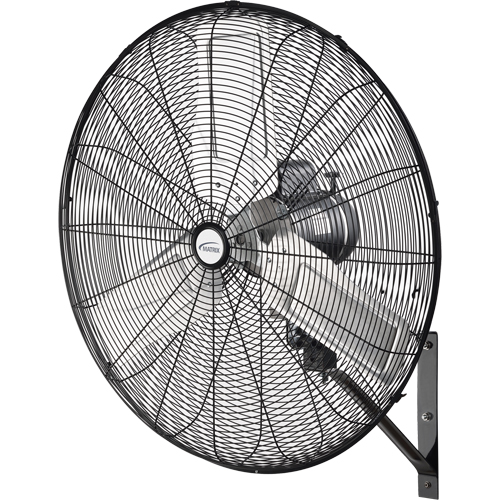 Oscillating Wall Fan, Industrial, 2 Speed, 30" Diameter Equipex
