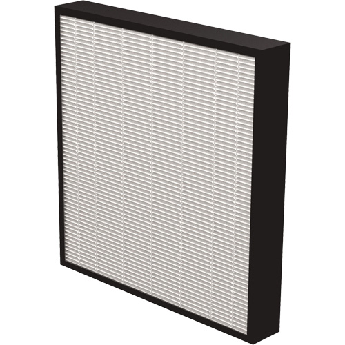 AeraMax&reg; Pro AM3 & AM4 2" True HEPA Filter, Box, 13.75" W x 2.25" D x 14.38" H Equipex