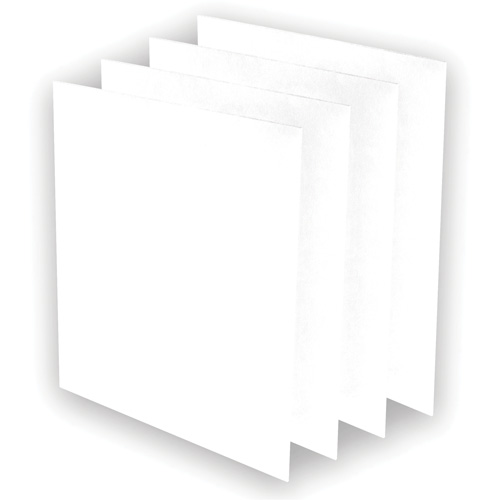 AeraMax&reg; Pro AM3 or AM4 Pre-Filters, 13.75" W x 0.13" D x 14.38" H Equipex