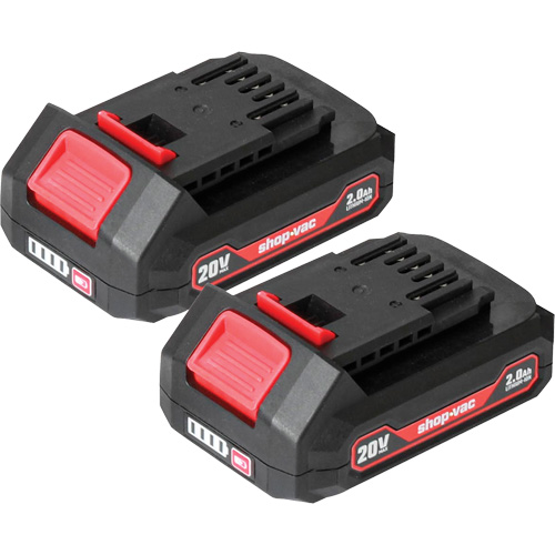 2.0Ah Lithium Battery - 2 Pack, 20 V Equipex