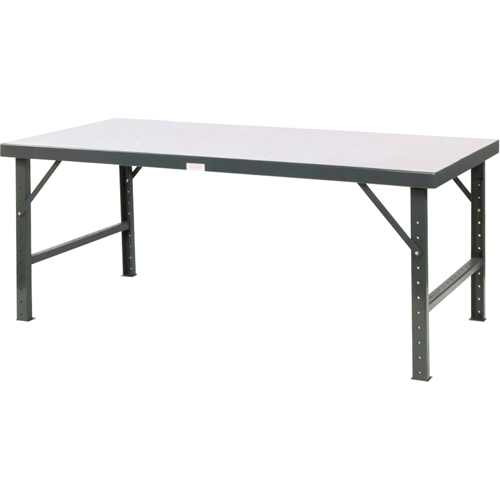 Adjustable Height Worktable Equipex