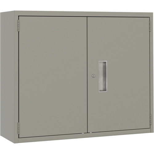 Armoire murale, Acier, 2 Tablettes, 30" h x 36" la x 12" P, Gris Equipex