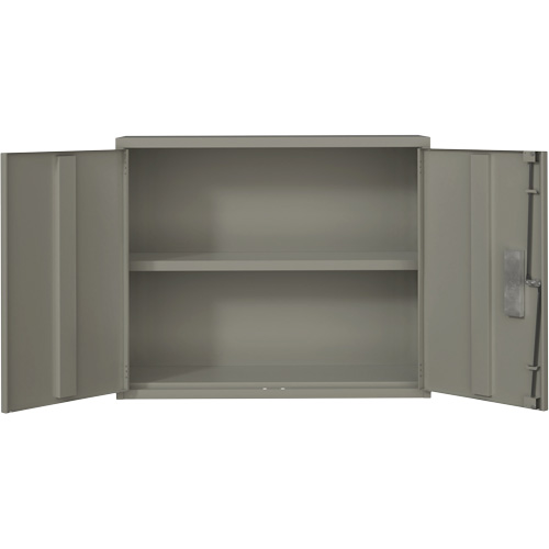 Armoire murale, Acier, 2 Tablettes, 30" h x 36" la x 12" P, Gris Equipex