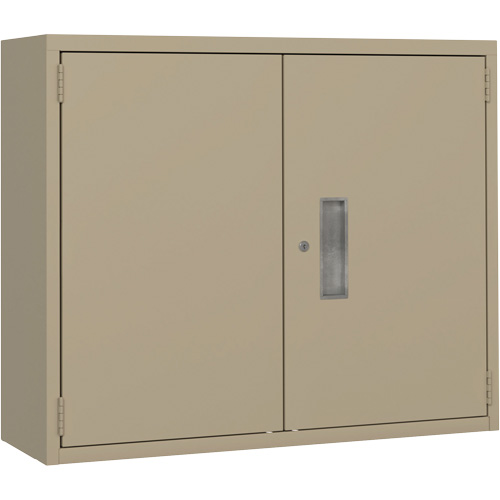 Wall Mounted Cabinet, Steel, 2 Shelves, 30" H x 36" W x 12" D, Beige Equipex