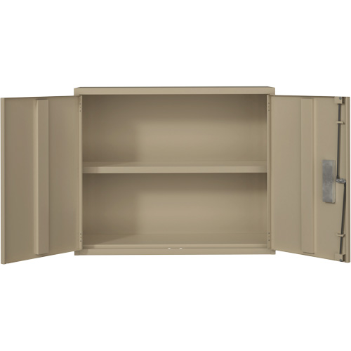 Wall Mounted Cabinet, Steel, 2 Shelves, 30" H x 36" W x 12" D, Beige Equipex