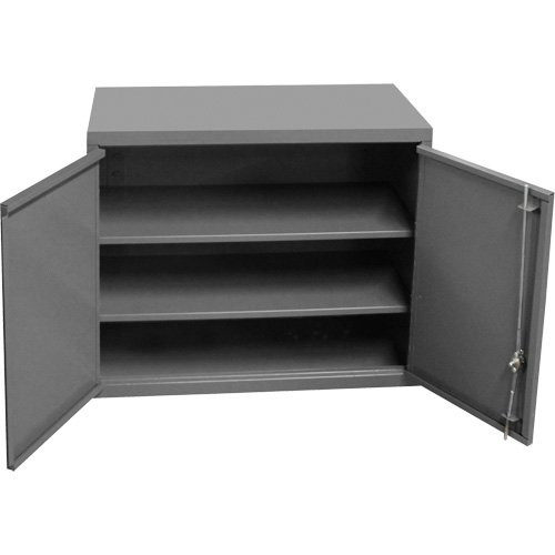 Armoire murale, 27" h x 13-11/16" la x 35-7/8" p, 2 tablettes, Acier, Gris Equipex