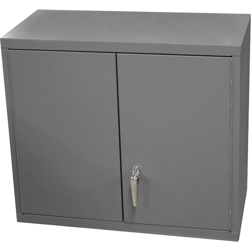 Armoire murale, 27" h x 13-11/16" la x 35-7/8" p, 2 tablettes, Acier, Gris Equipex