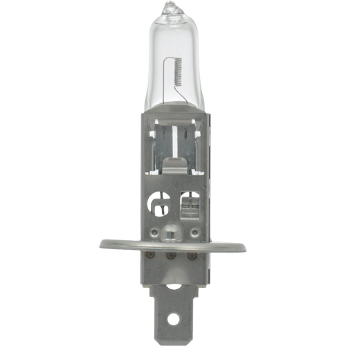 64155 Basic Automotive Bulb, Halogen, 78 W, Off White Equipex