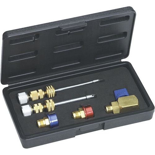R134a Standard & JRA (M6) Valve Core Kit Equipex