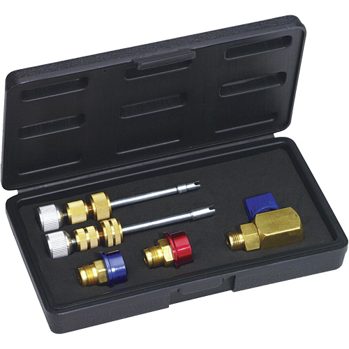 R134a Eaton (M8 & M10) Valve Core Kit Equipex