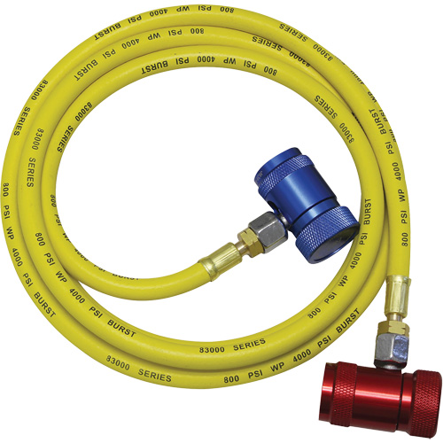 Ensemble flexible de rinçage pour syst&egrave;me de climatisation R1234yf Equipex