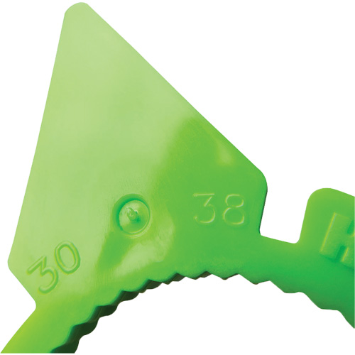 Indicateur d'&eacute;crous de tailles multiples desserr&eacute;s HexChex Equipex