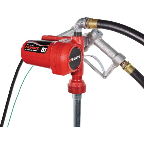 Pompe de transfert de carburant 12 V CC avec pistolet Equipex