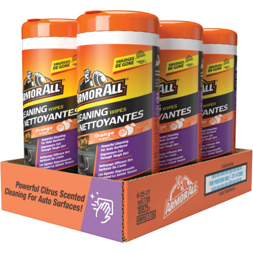 Lingettes nettoyantes et d&eacute;sodorisantes Equipex