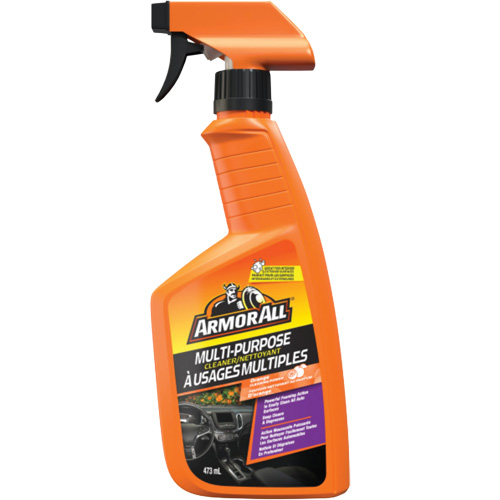 Multi-Purpose Auto Cleaner, 16 oz./473 ml, Trigger Bottle Equipex