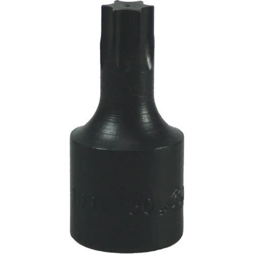 T-50 Torx&reg; Bit Equipex