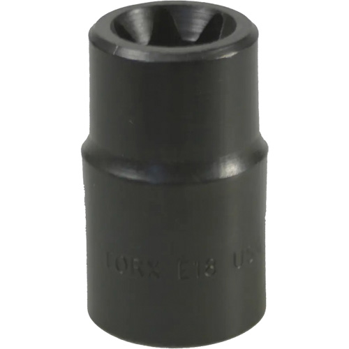 E-18 Torx&reg; Socket Equipex