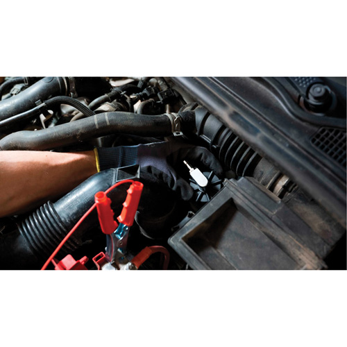 Pompette de purge de frein Brake-Pro &agrave; structure haute avec adaptateurs Equipex
