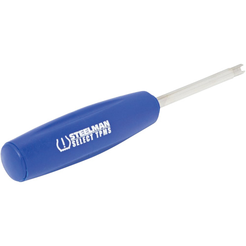 Outil dynamom&eacute;trique &agrave; noyau de valve TPMS 4 lb-po Equipex