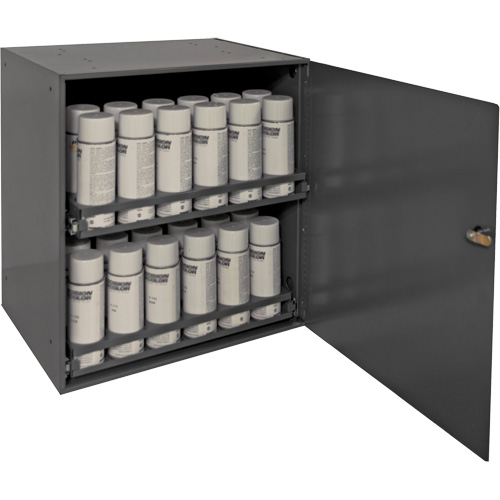 Aerosol Storage Cabinet, Steel, 21-7/8" H x 15-15/16" W x 20-5/16" D, Grey Equipex