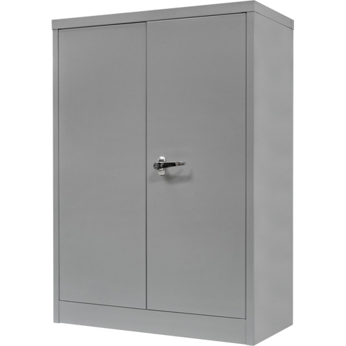 Armoire de rangement &agrave; hauteur de comptoir, Acier, 2 Tablettes, 42" h x 48" la x 24" P, Gris Equipex