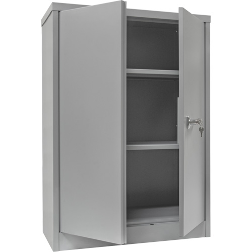 Armoire de rangement &agrave; hauteur de comptoir, Acier, 2 Tablettes, 42" h x 48" la x 24" P, Gris Equipex