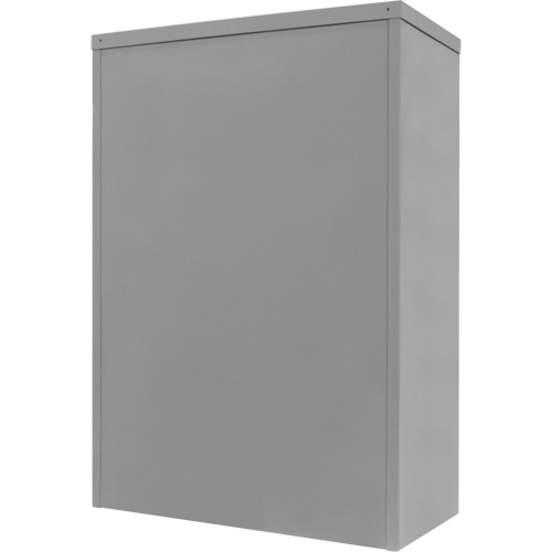 Armoire de rangement &agrave; hauteur de comptoir, Acier, 2 Tablettes, 42" h x 48" la x 24" P, Gris Equipex