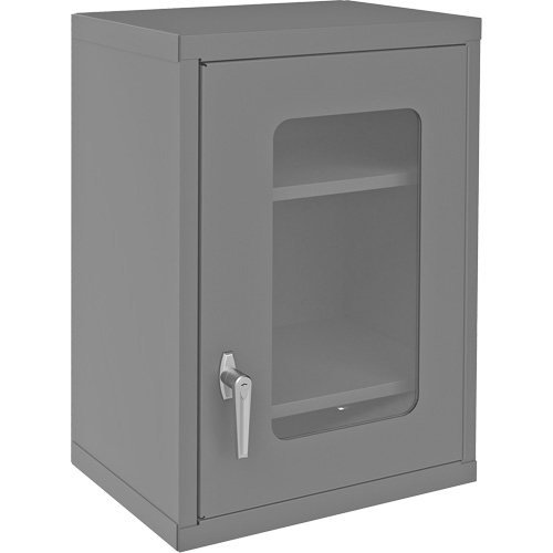 Armoire de rangement murale avec portes transparentes, 26-15/16" h x 18-1/8" la x 13-11/16" p, 2 tablettes, Acier, Gris Equipex