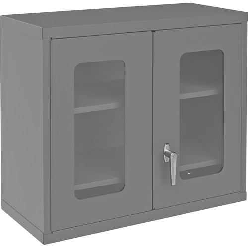 Armoire de rangement murale avec portes transparentes, 26-15/16" h x 29-7/8" la x 13-11/16" p, 2 tablettes, Acier, Gris Equipex