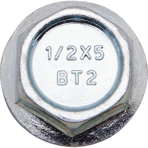 Wedge Bolts, Carbon Steel, 1/2" x 6" Equipex